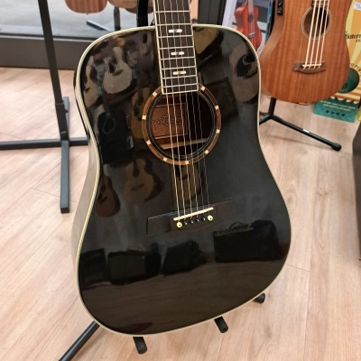HAGSTROM D15BK ACOUSTIC 2